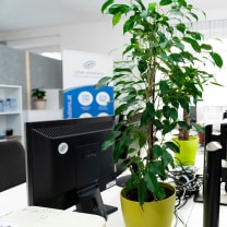 Workplace Cyber-Solutions Software GmbH