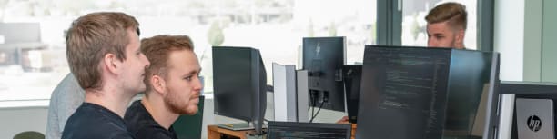 Workplace RZL Software GmbH