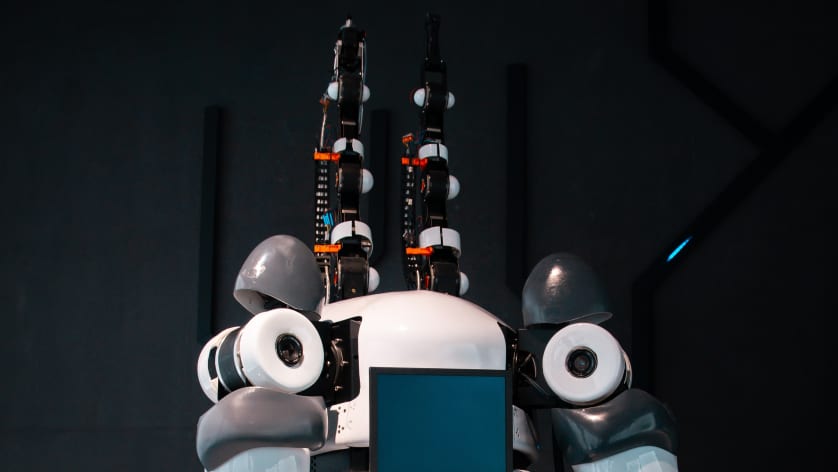 Arten der Robotik