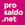 Logo Company ProSaldo.net